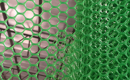 綠化塑料網(wǎng) 